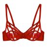 Playful Promises Ramona UW Strap & Mesh Bra Ruby Red Satin-thumb Underwired, non-padded mesh bra with strap detailing. 65-100, D-K PP-3220-RR