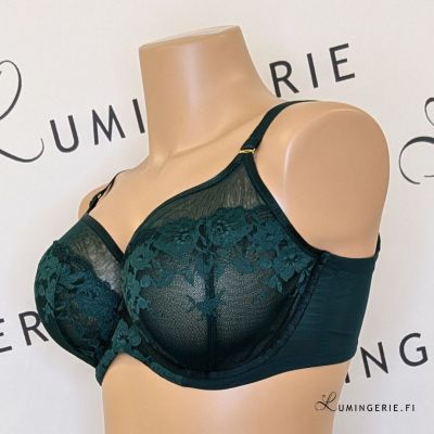 Sculptresse by Panache Josephine UW Full Cup Bra Forest Green Underwired non-padded full cup mesh tulle bra. 75-105, E-O 10855A-FOG