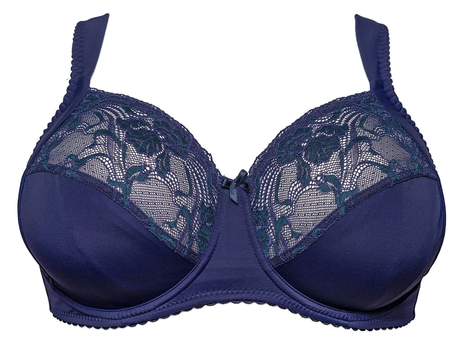 Plaisir Grace Full Cup Bra Silvery  Lumingerie bras and underwear for big  busts