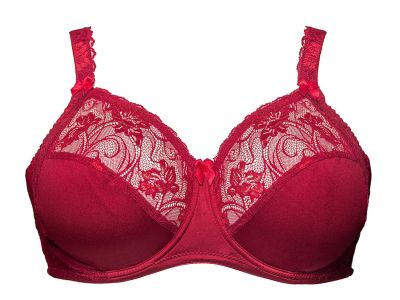 Plaisir Sofia Full Cup Bra Red Rumba Underwired, non padded, stretch lace full cup bra 80-105 D-H 1130-RMB