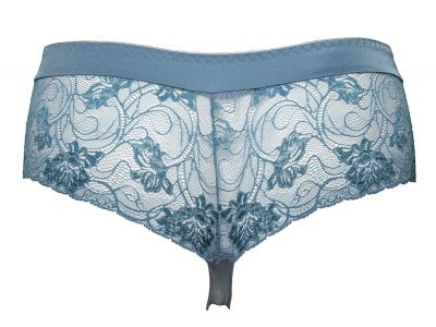 Plaisir Sofia Brazilian Artic Brazilian brief with wide waist band 42-54 447-11-ARC