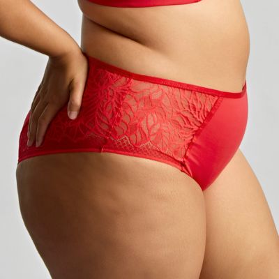 Sculptresse by Panache Sophia Deep Brief - Red Stretch lace briefs to match your Sophia bra. L/40 - 5XL/50 11192-RED