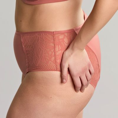 Sculptresse by Panache Sophia Deep Brief - Sienna Rose Stretch lace briefs to match your Sophia bra. M/38 - 5XL/50 11192-SIE