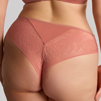Sculptresse by Panache Sophia Brazilian - Sienna Rose Stretch lace brazilian briefs to match your Sophia bra. M/38 - 5XL/50 11193-SIE
