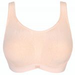 The Gym UW Sports Bra Venus