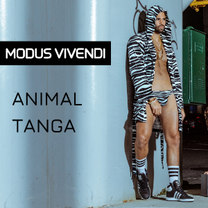 Modus Vivendi Animal tanga zebra